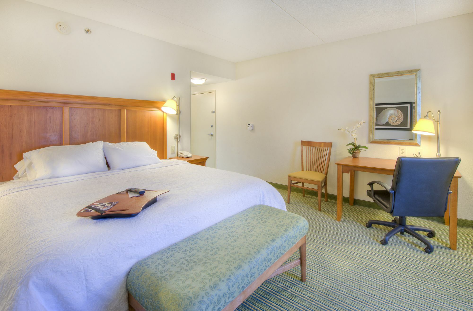Hotel Hampton Area Wilmington